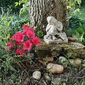 Guest house Le Clos De La Salamandre, Duravel